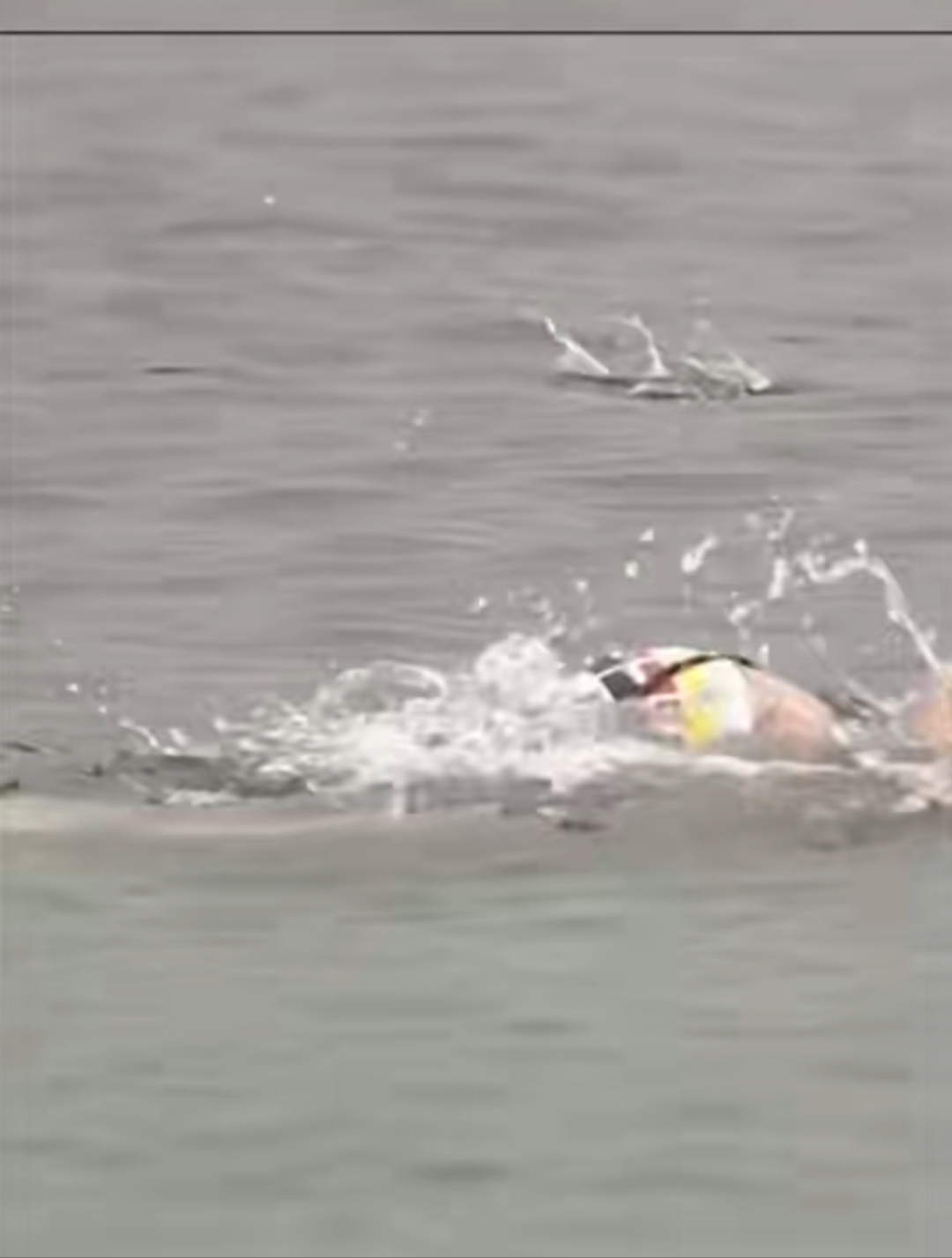 一场经典之战！游泳点燃球迷热情的简单介绍