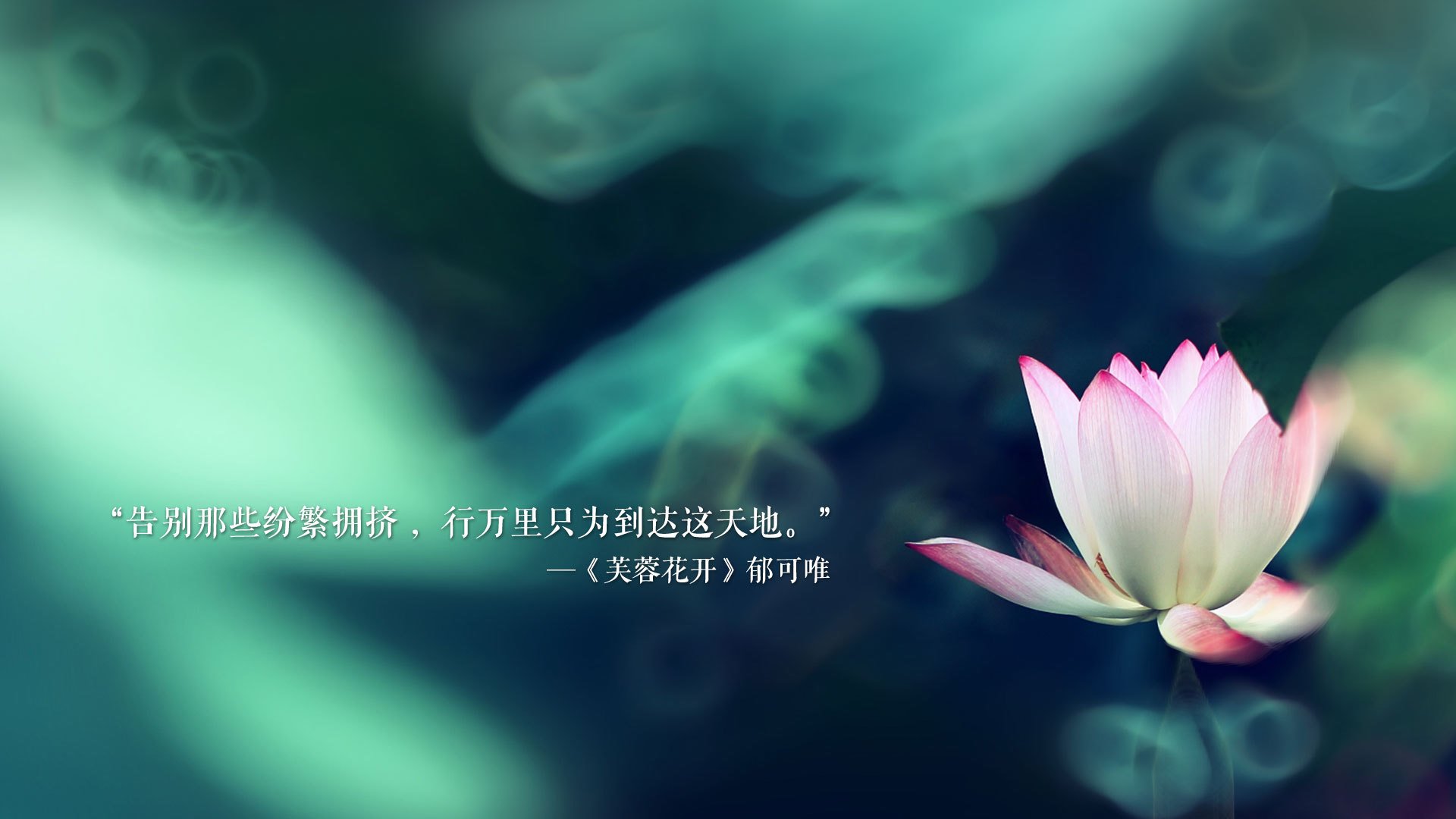 古老基因与流动勋章,足球世界里,何为真正的唯一?