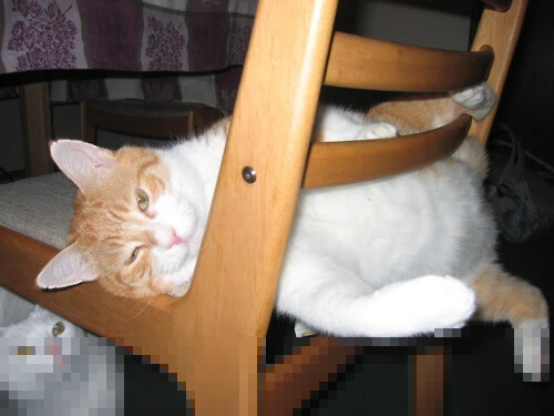 霍勒迪末日主宰降临，掘金绝境翻盘山西，世界排名之战他一人接管