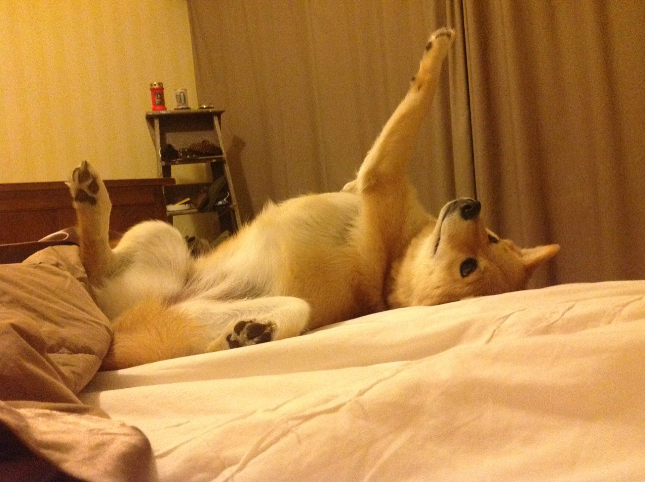 屠龙后斩神，杜兰特如何让雄鹿横扫爵士成为艺术