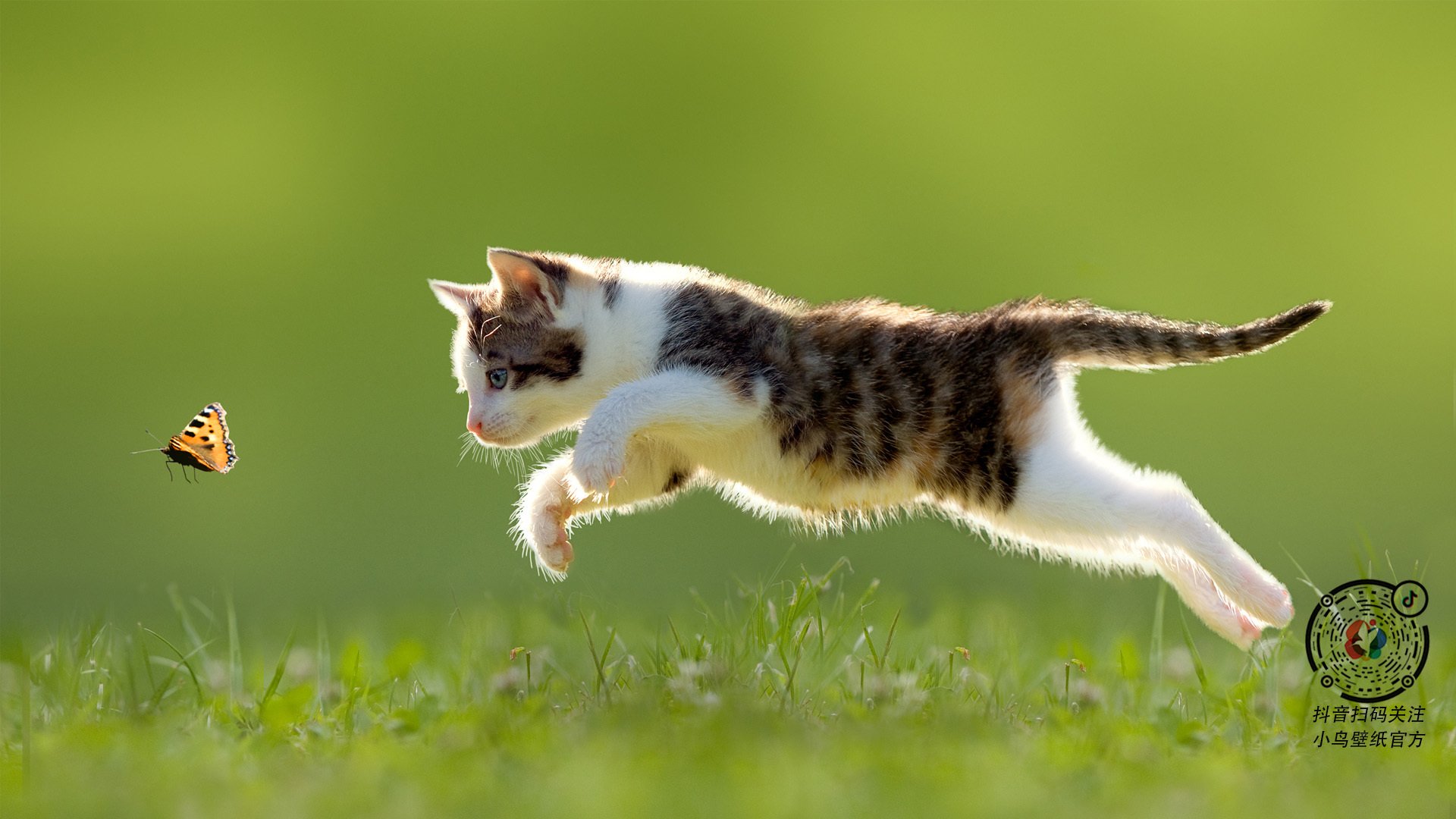 终局之弈，马克西一子定乾坤，奇才逆转掀翻北京长城