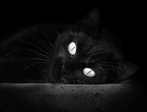 虚构的碰撞，字母哥双30史诗之夜与深圳队降魔启示录