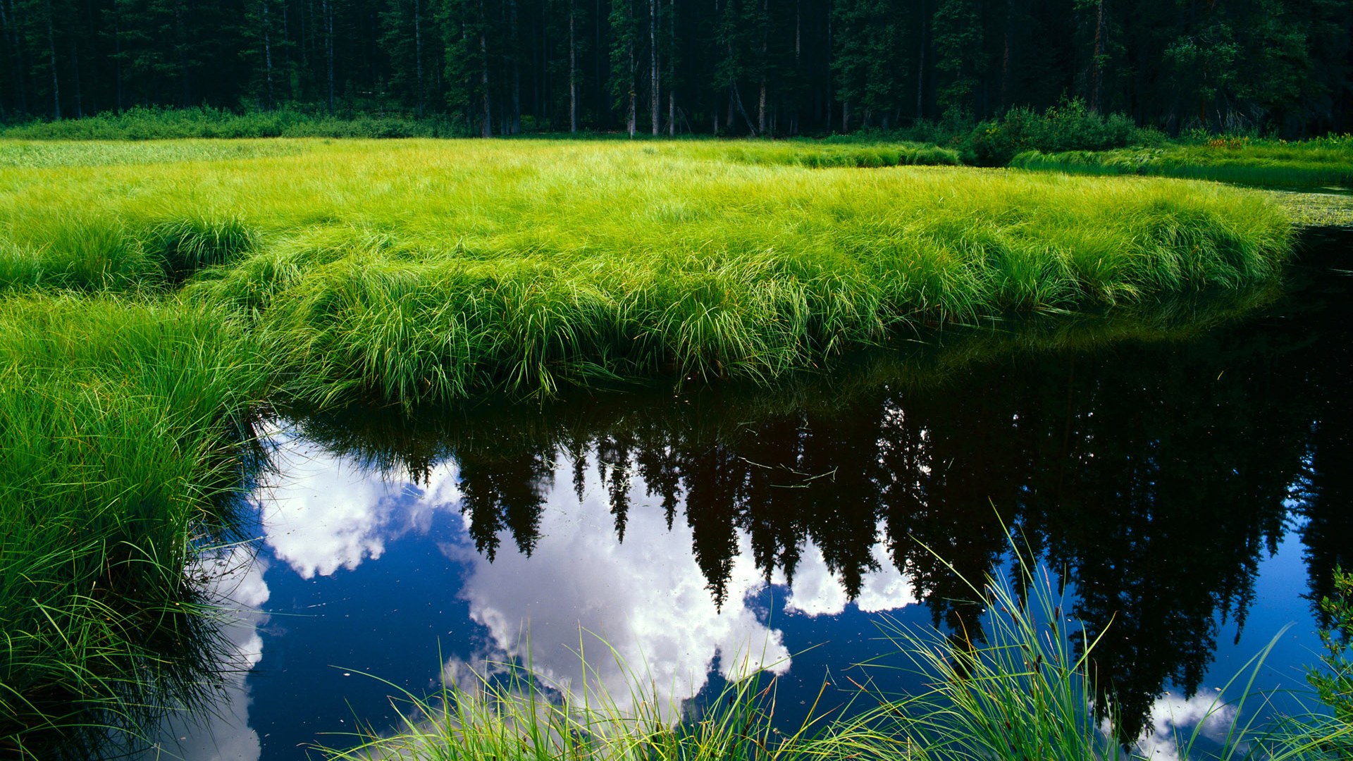 一场不存在的意甲焦点战，当浙江队狂胜湖人的夜晚