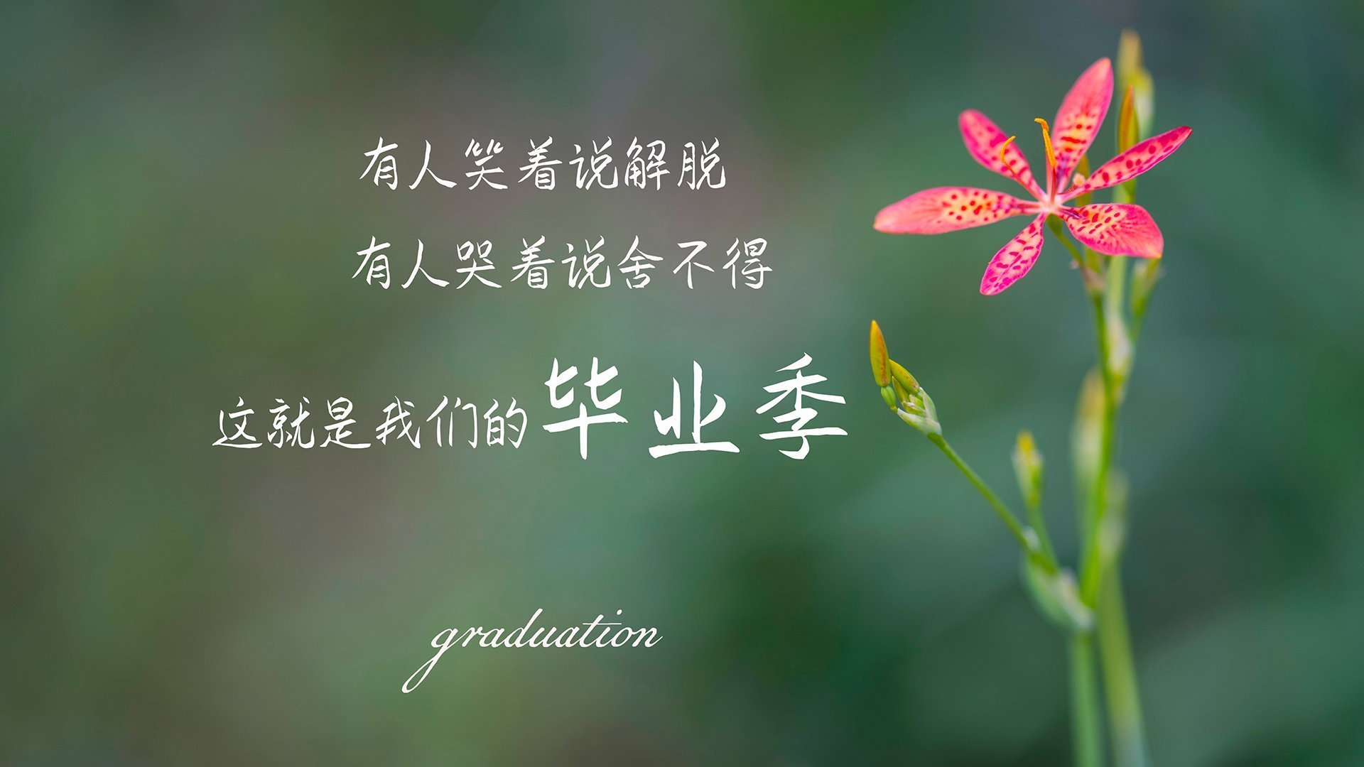 蓝武士的逆戟,当福登成为东京特快的引擎,防守反击如何绞杀迦太基雄鹰