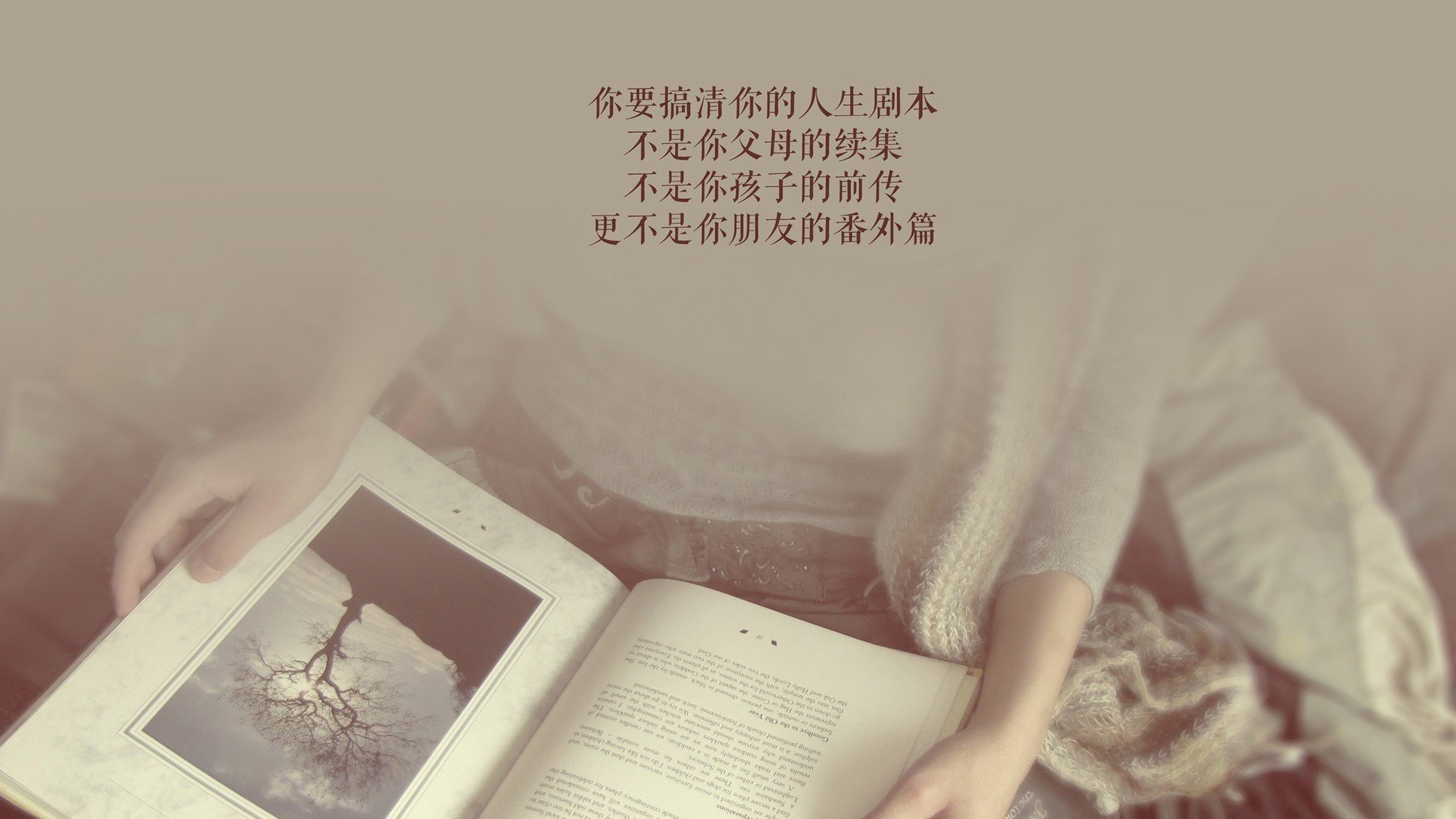 开云体育入口-冰与火的悖论，2026，当蓝武士的冷焰刀劈开维京战吼，布罗佐维奇在废墟上竖起唯一的旗帜