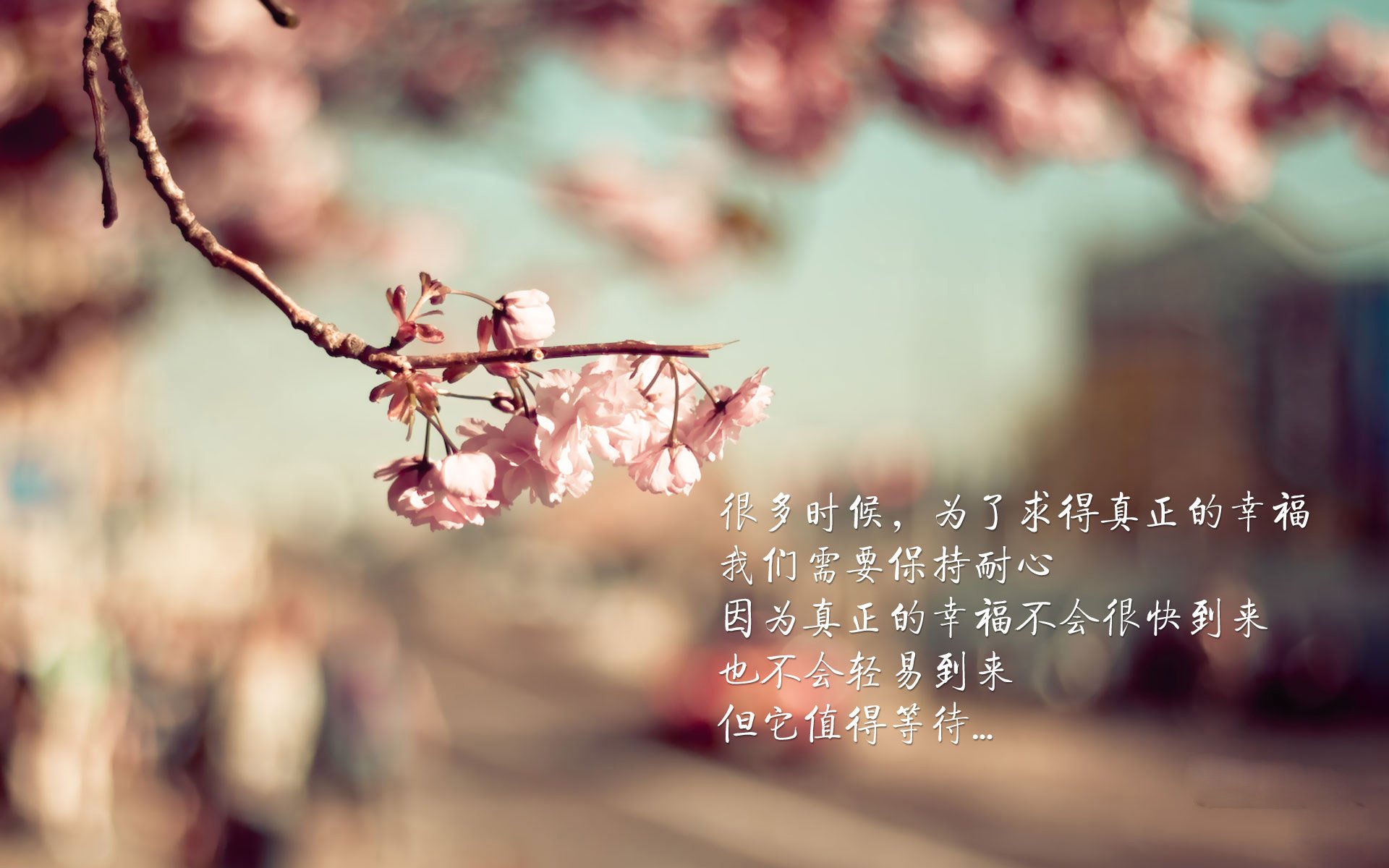 暗夜金童,2026,当加维用斗牛士的脚步,踏穿东南亚的铜墙铁壁